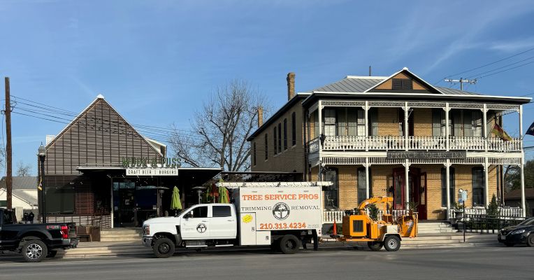 New Braunfels Tree Service Pros - New Braunfels, Texas