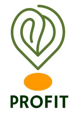 E profit logo
