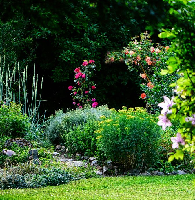 Lush garden with green shrubs, pink and white flowers, and a grassy lawn