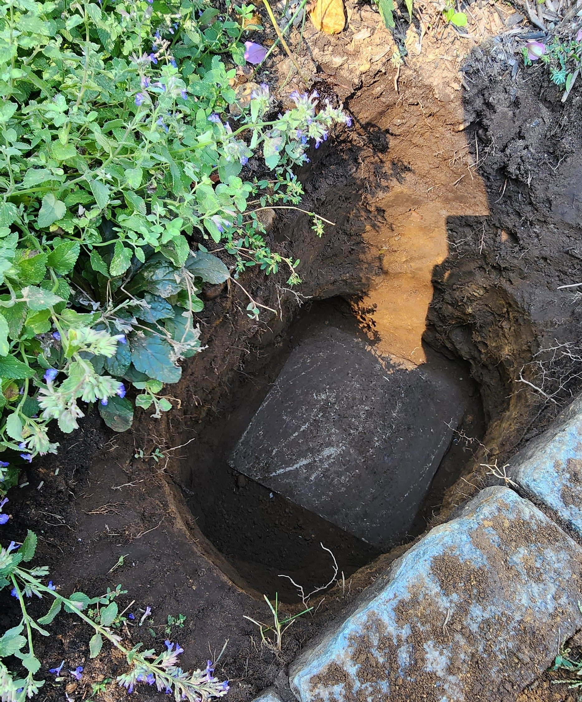Open utility hole with a black pipe or block inside, surrounded by soil and plants.