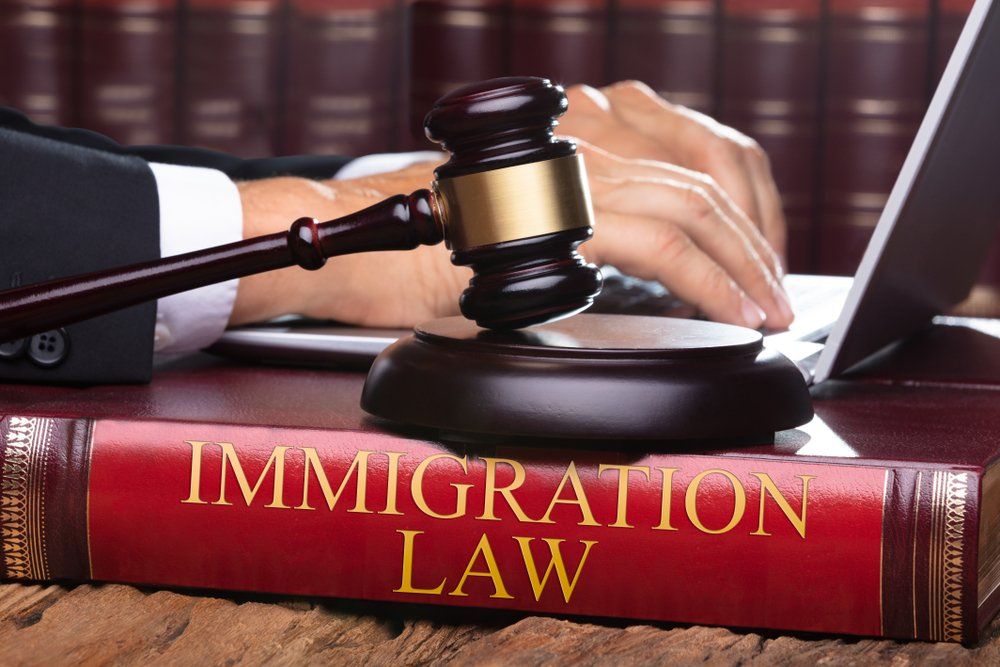 Lawyer Working with Immigration Law Book and Gavel — Immigration Lawyer in Gladstone, QLD
