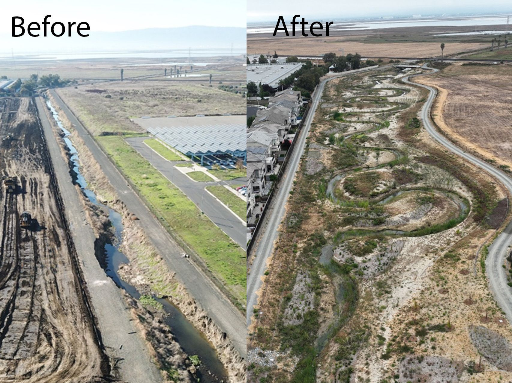 Before and After New Ohlone Creek