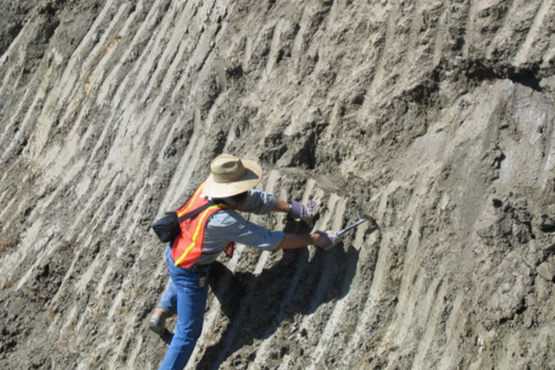 Personnel Working on the Site