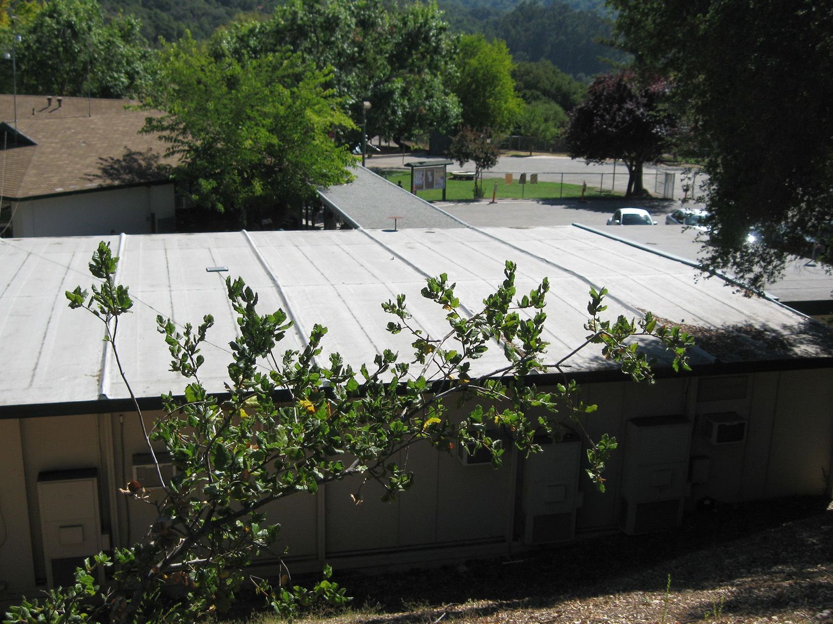 Lexington Elementary School