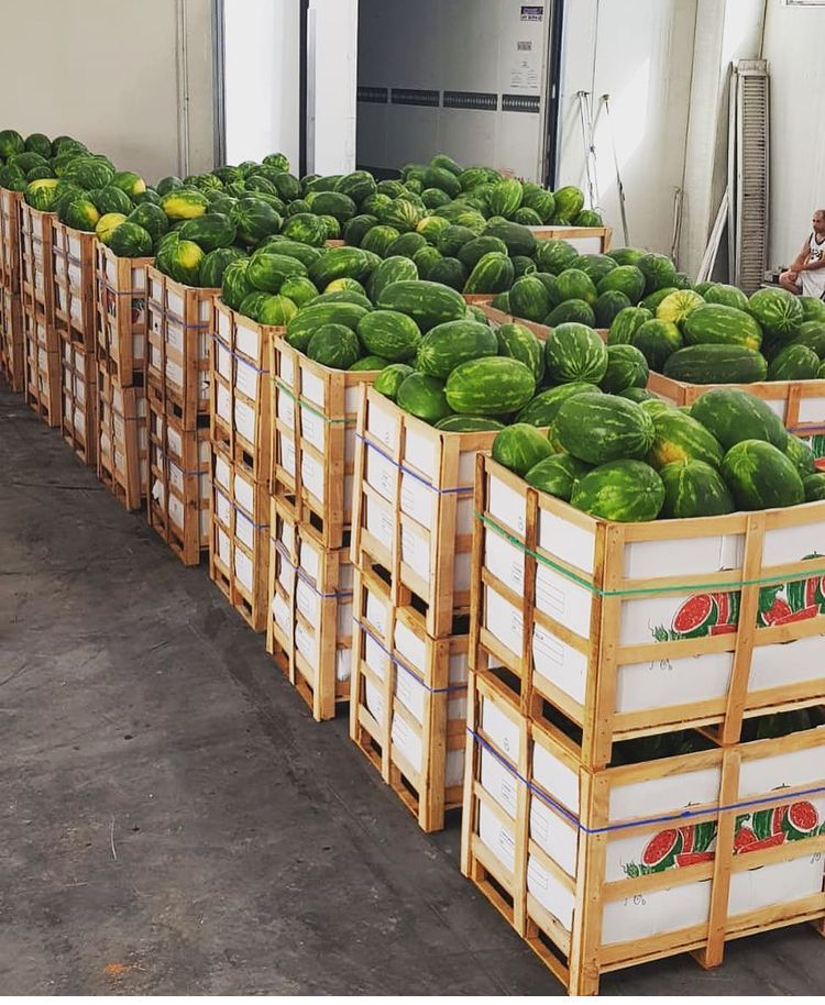 vendita all'ingrosso di angurie