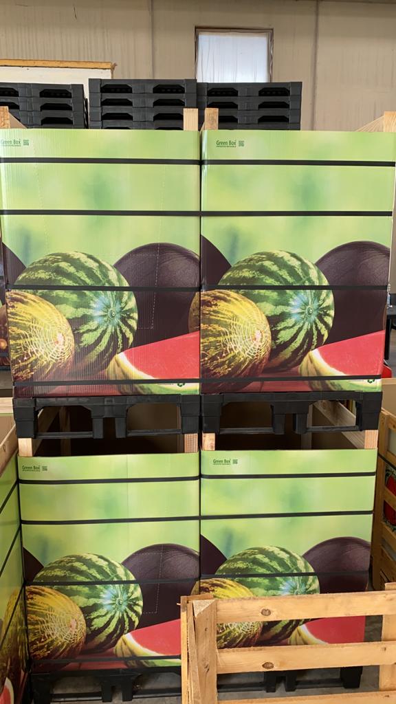 cassette per la spedizione di angurie e cocomeri