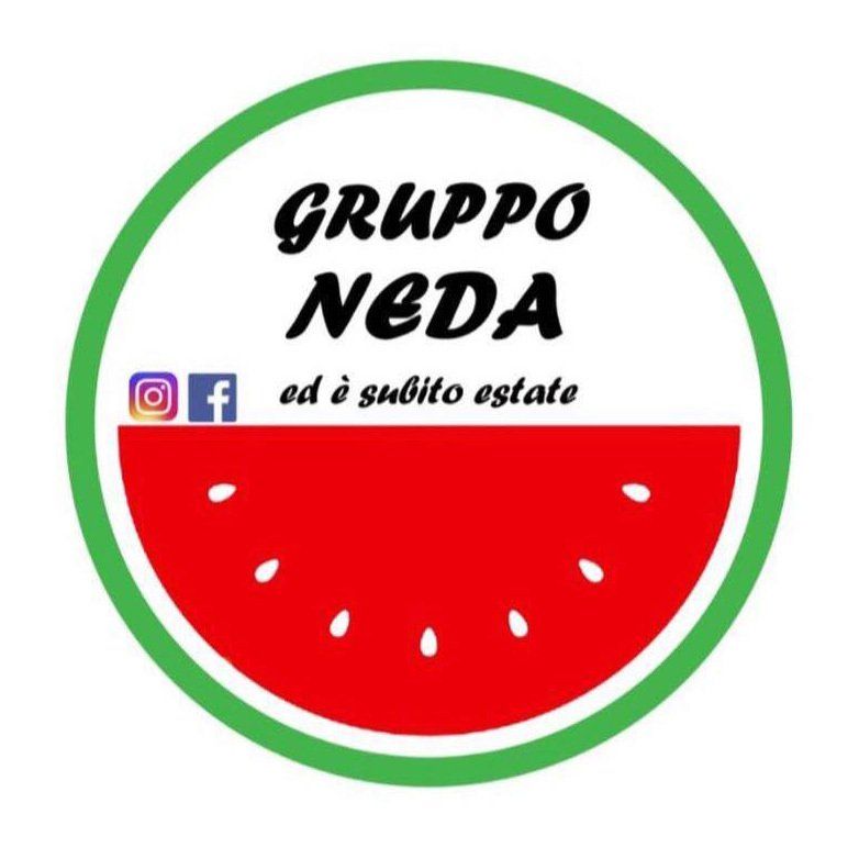 GRUPPO NEDA-LOGO