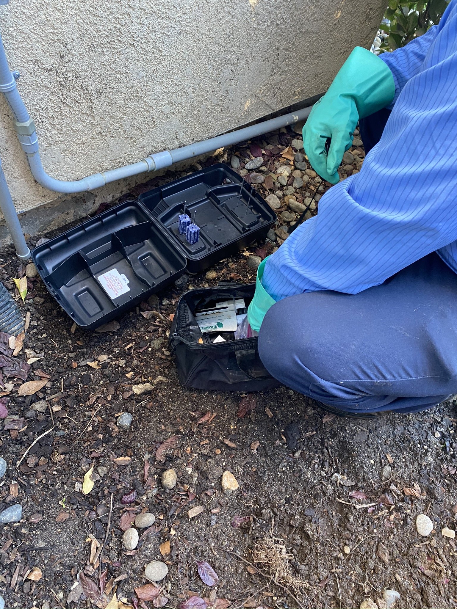 Small Animal Control Salinas, CA Gavilan Pest Control