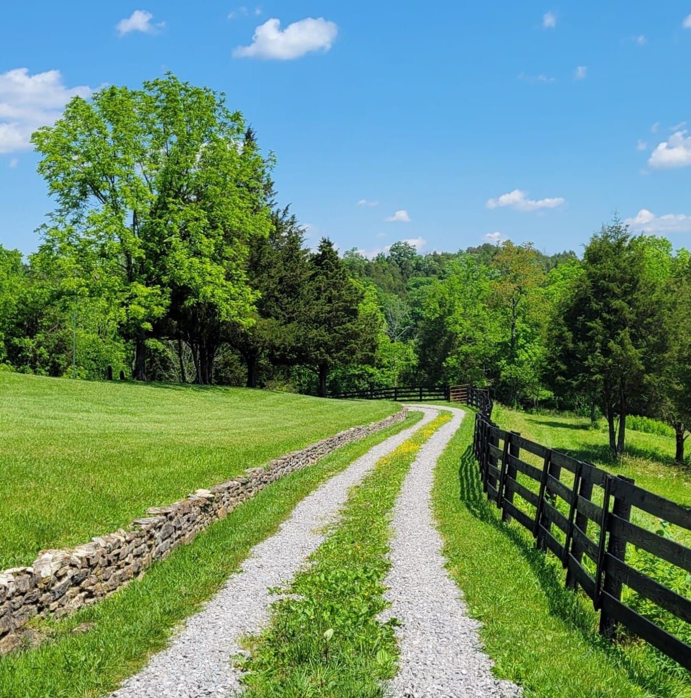 A gravel road going through a grassy field with a fence