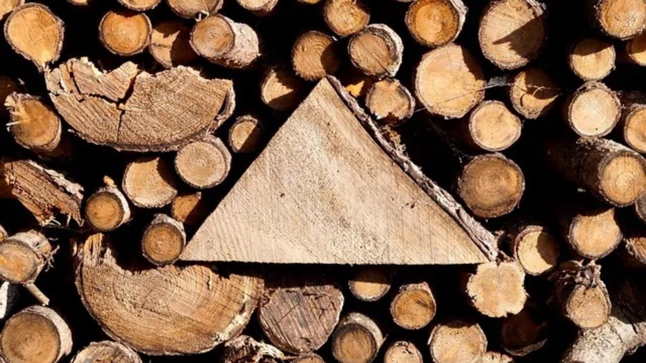 A pile of logs with a triangle in the middle