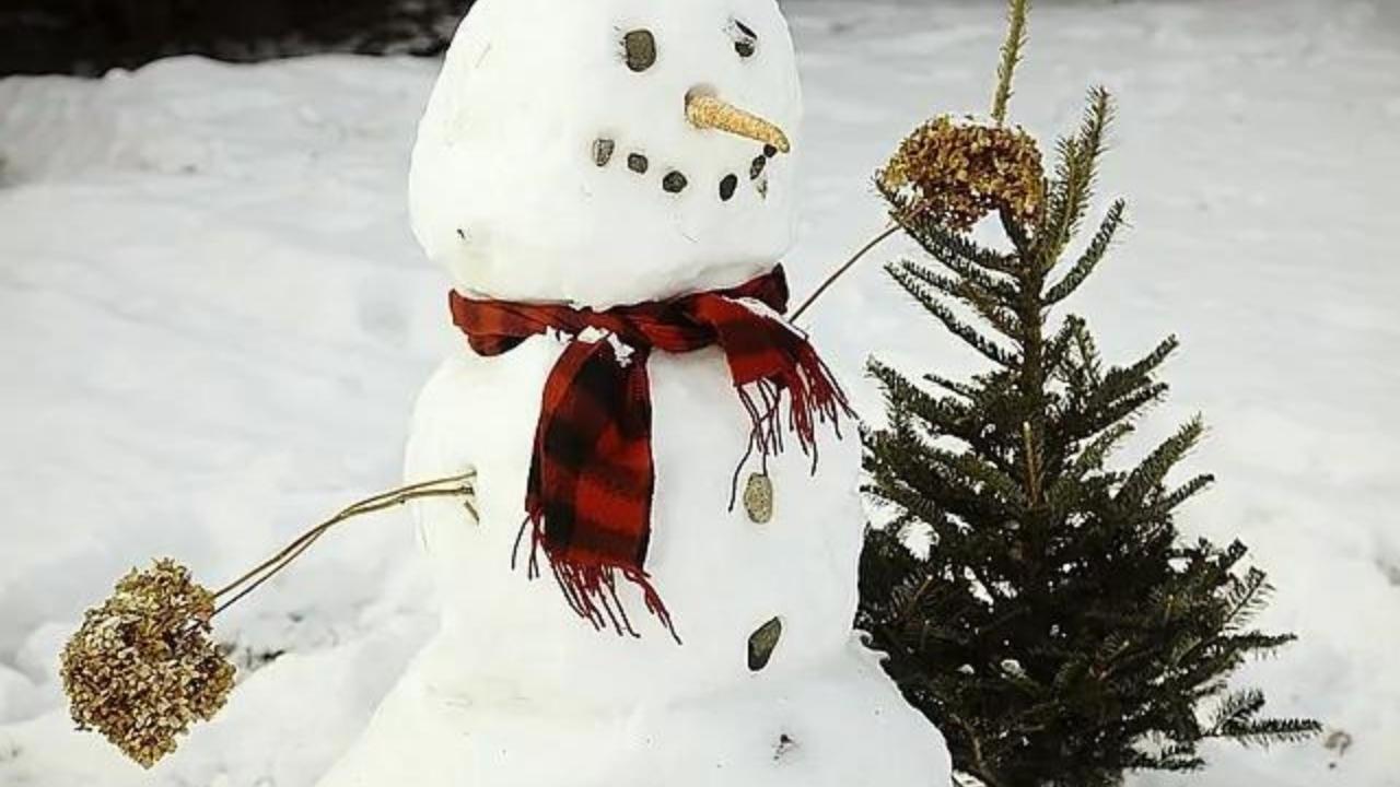 A snowman wearing a scarf is standing next to a small christmas tree.