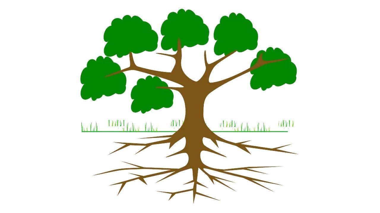 A tree with roots and green leaves on a white background