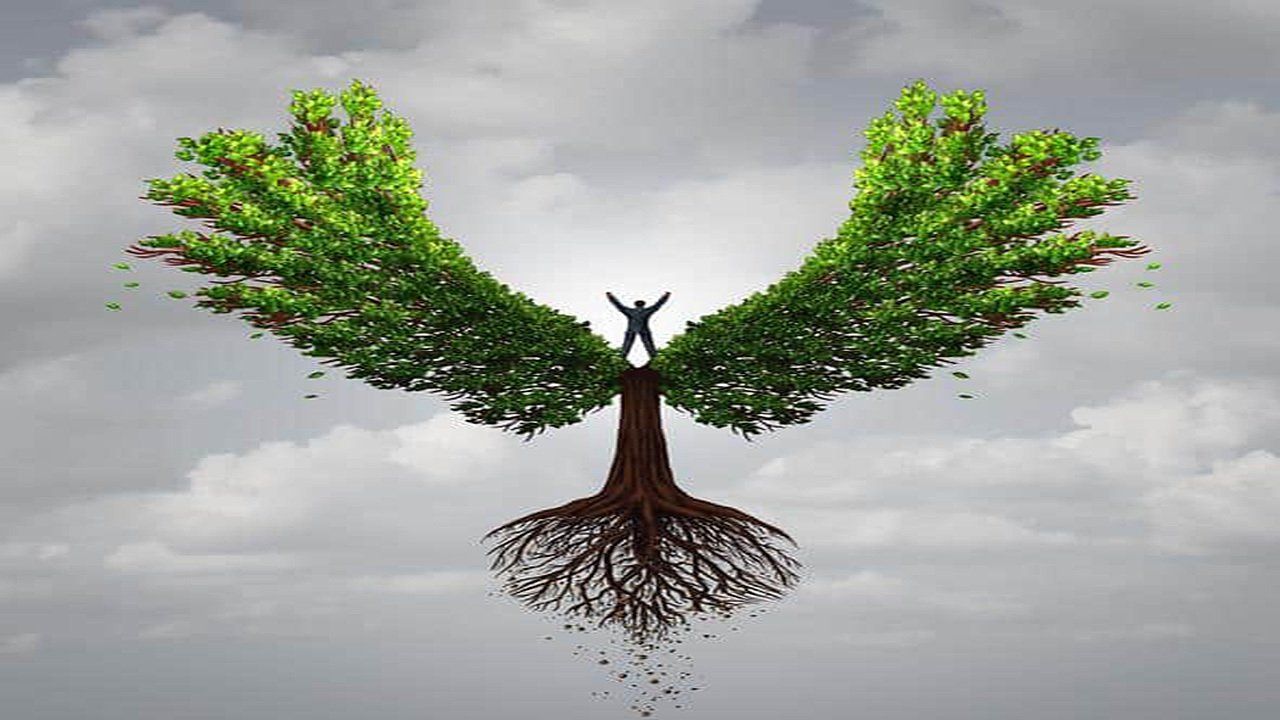 A person is standing on top of a tree with wings.