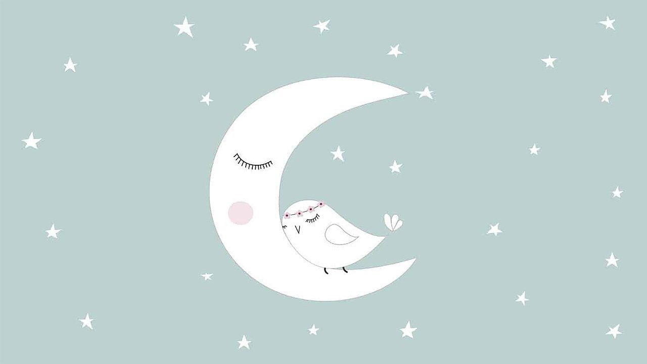 A bird is sleeping on a crescent moon in the night sky.