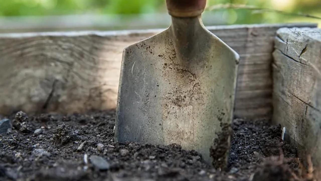 A shovel is sitting in a pile of dirt in a wooden box.