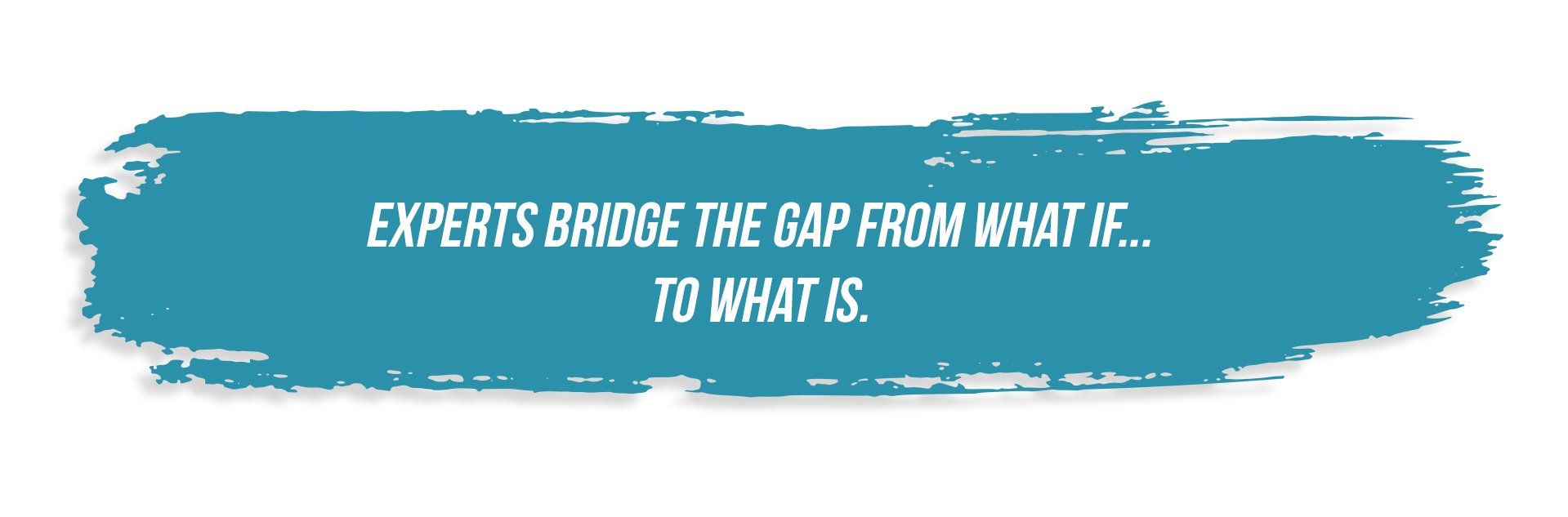 Experts bridge the gap from what if ... to what is.