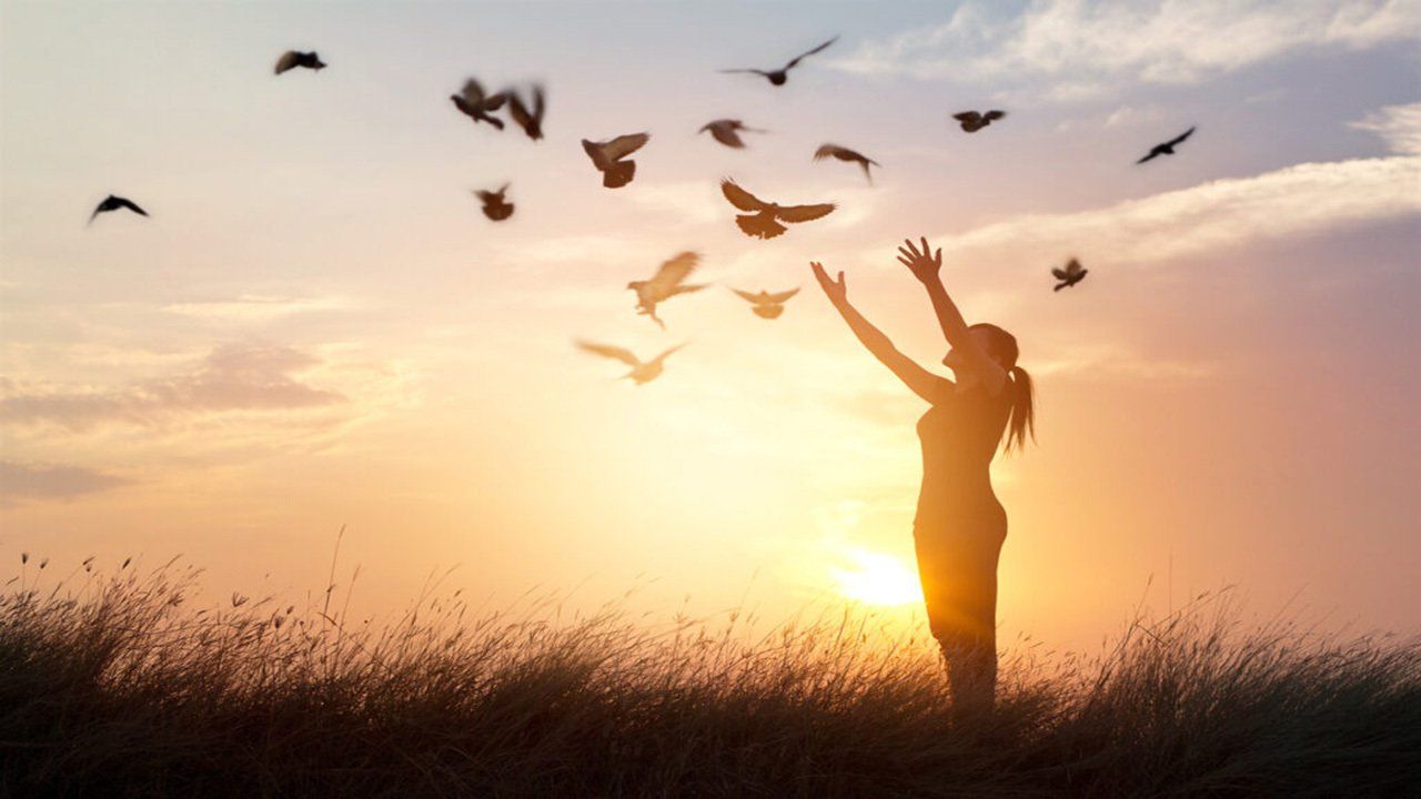 A woman is standing in a field with her arms outstretched and birds flying in the sky.