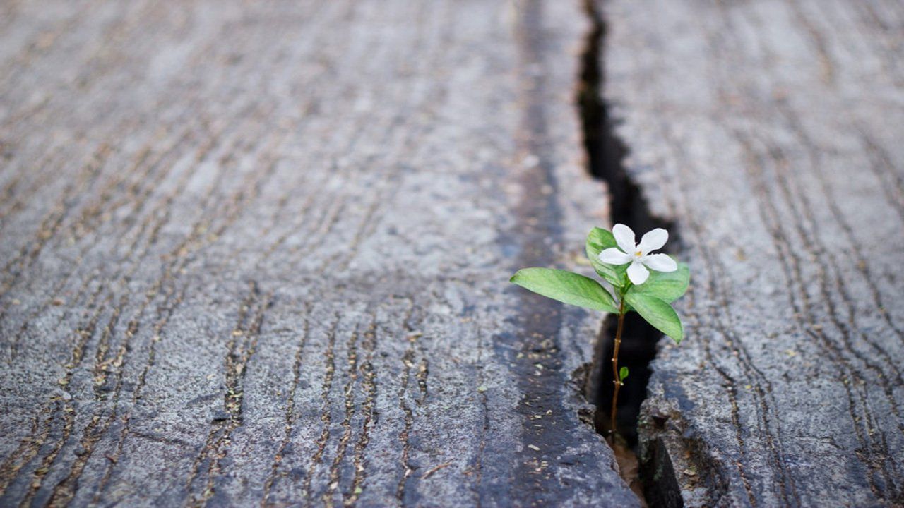 Hope is Not Tied to Your Circumstances