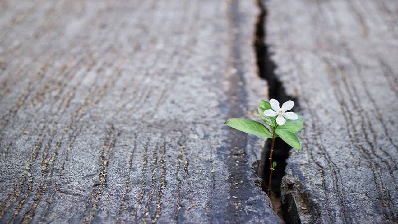 Hope…We All Need It
