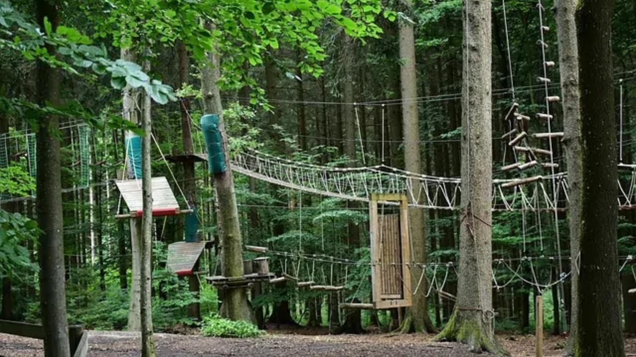 A ropes course in the middle of a forest.