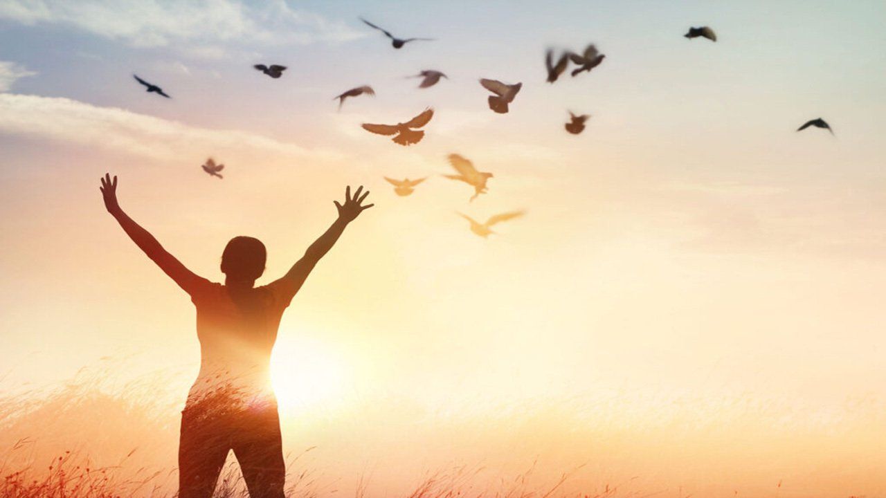 A woman is standing in a field with her arms in the air and birds flying in the sky.