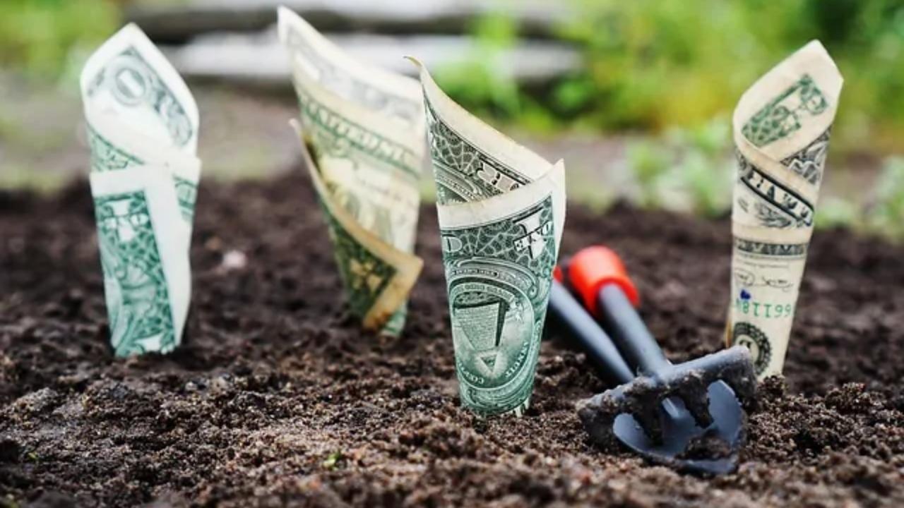 A bunch of money is growing out of the ground
