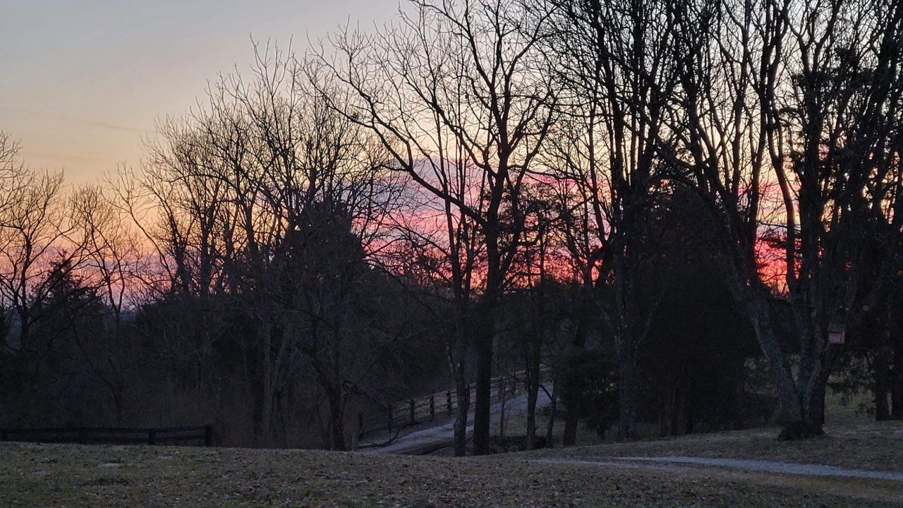 A sunset with trees in the foreground and a road in the background