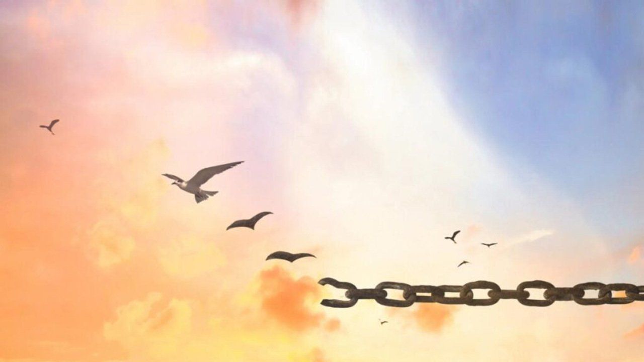 A flock of birds flying in the sky with a chain in the foreground.