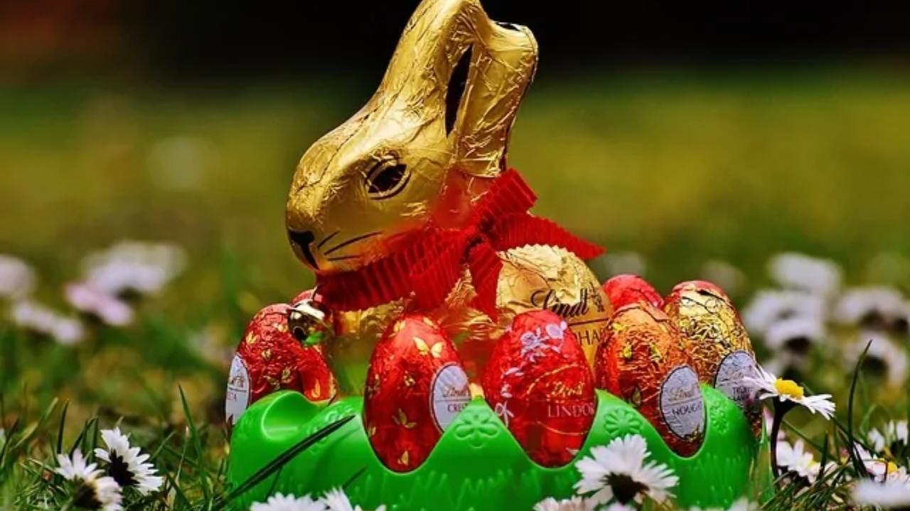 A chocolate bunny is sitting in a basket of eggs in the grass.
