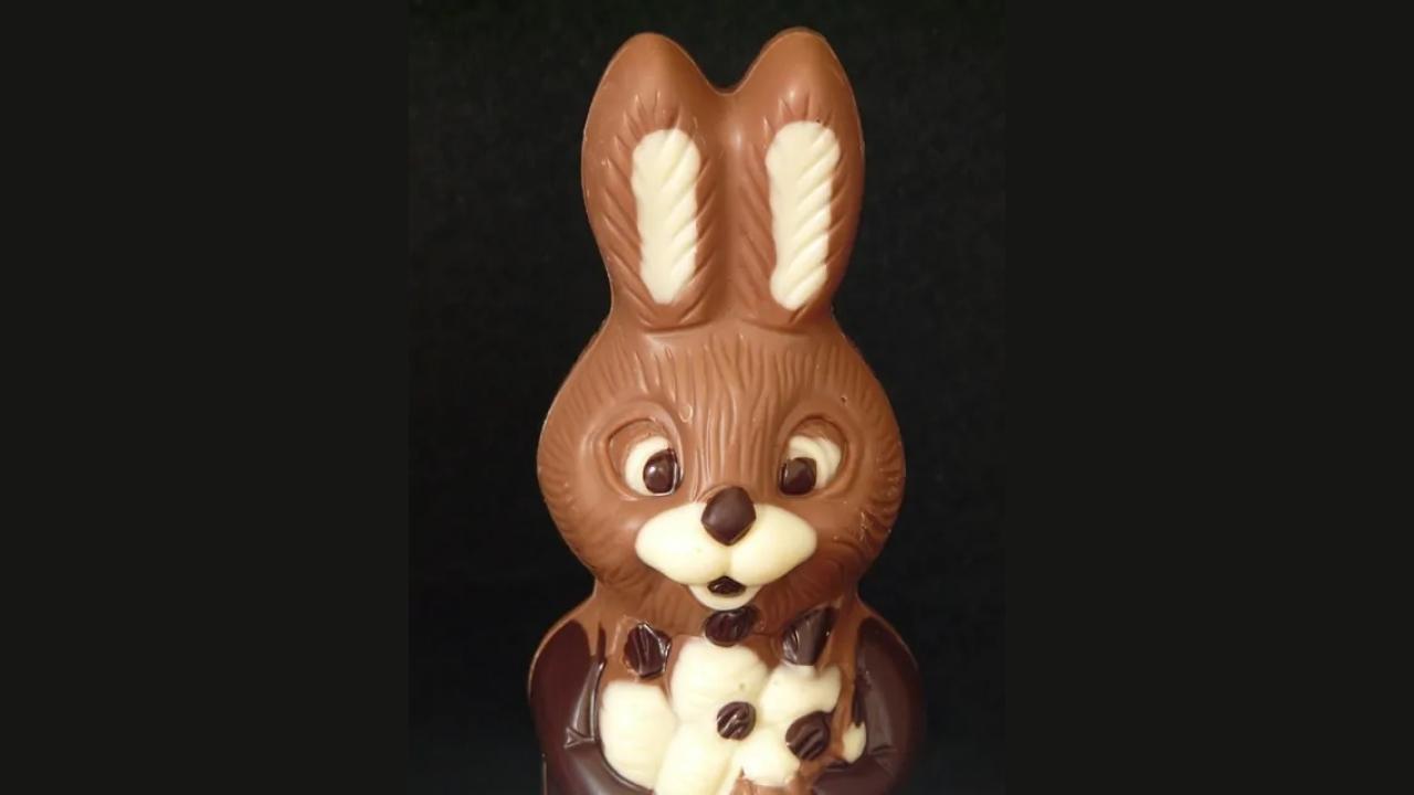 A chocolate bunny holding a flower on a black background