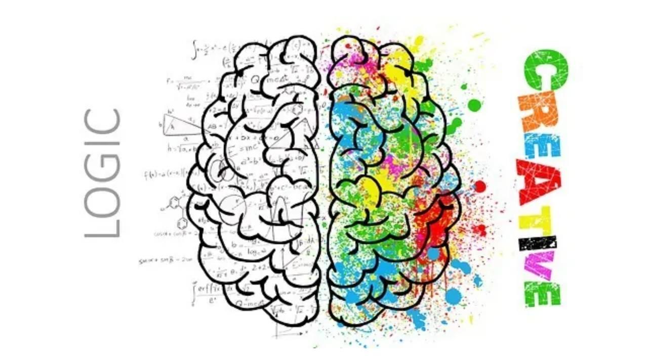 A drawing of a brain showing the left side being logic and the right side being creative.