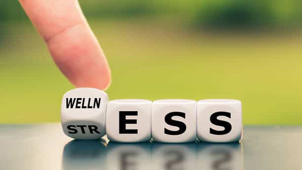 A person is holding a dice that says welln stress.