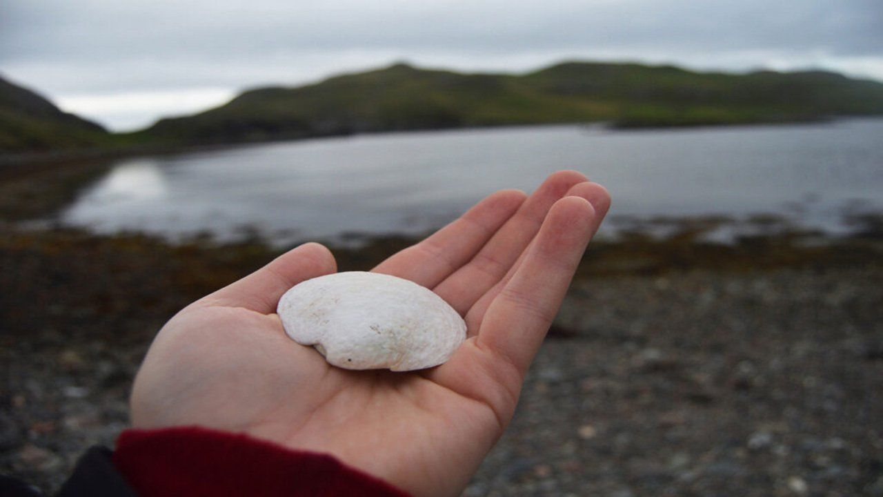 A person is holding a sea shell in their hand in front of a lake.