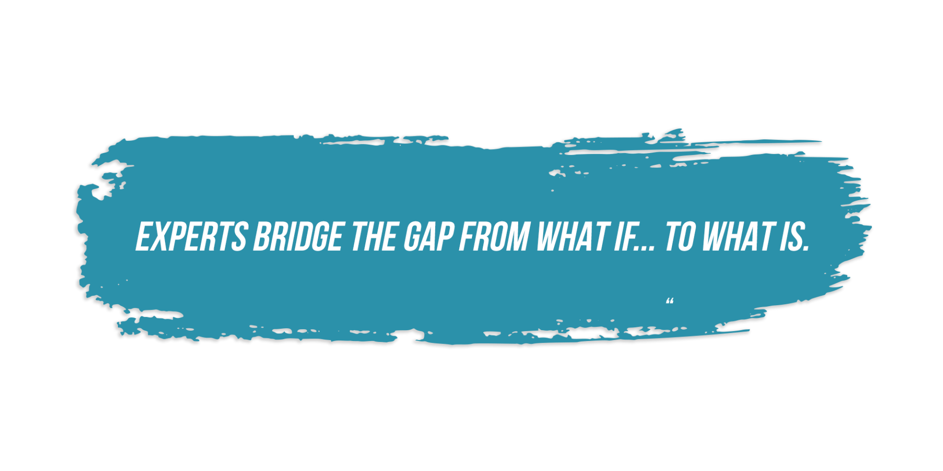 Experts bridge the gap from what if ... to what is.