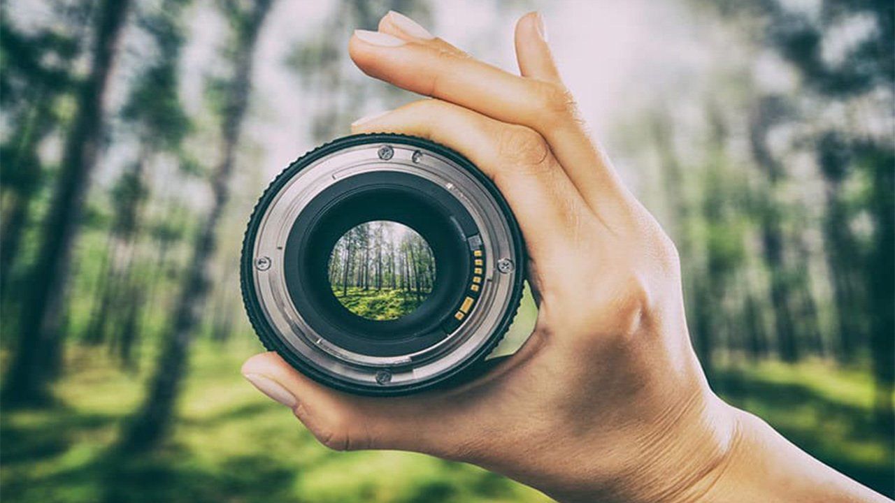 A person is holding a camera lens in their hand and taking a picture of a forest.