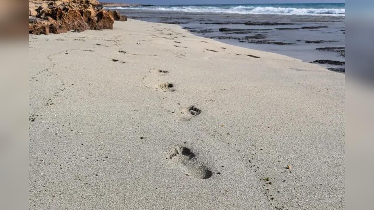 There are footprints in the sand on the beach.