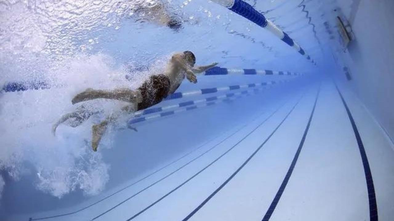 A group of people are swimming underwater in a swimming pool.