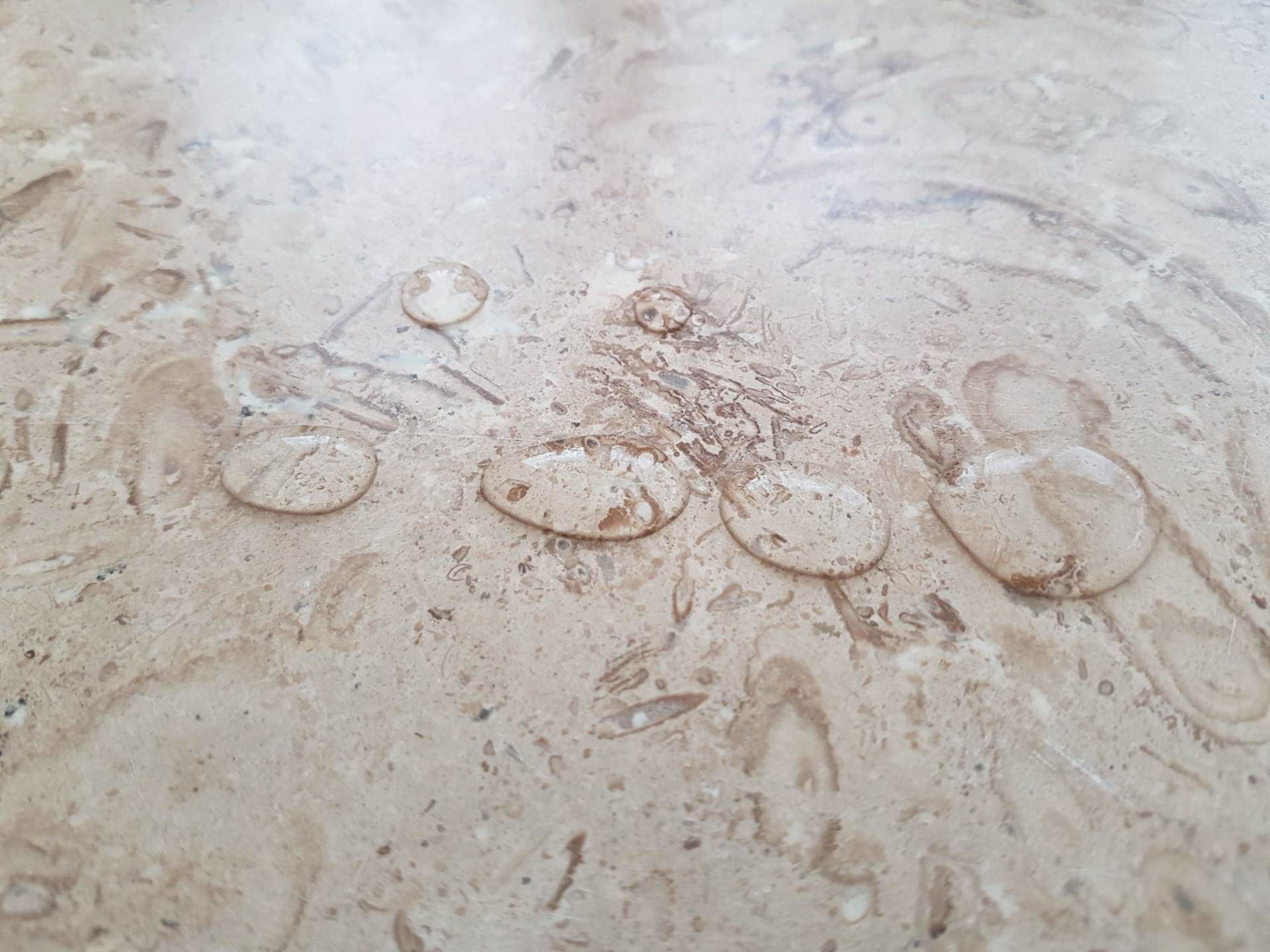 Sealed stone tile sample