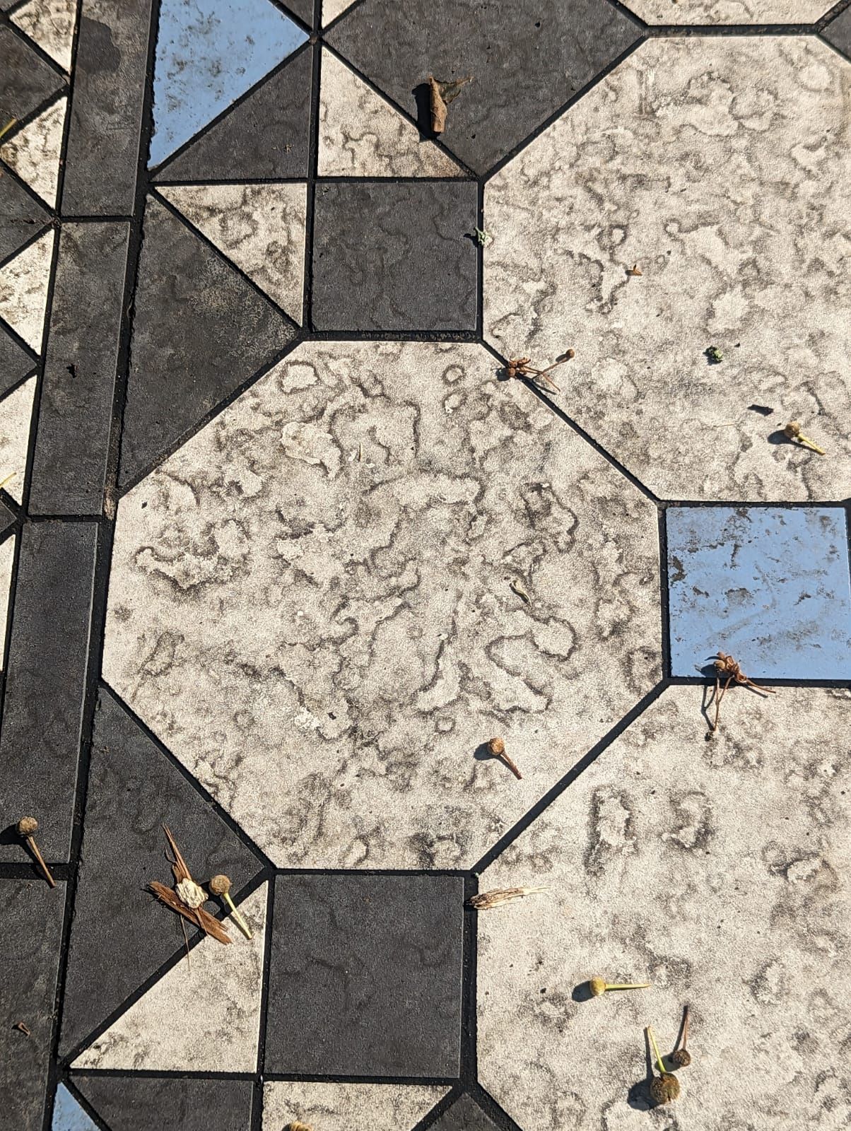 VICTORIAN TILED FRONT GARDEN PATH DEEP CLEANING AND SEALING IN SALE, GREATER MANCHESTER