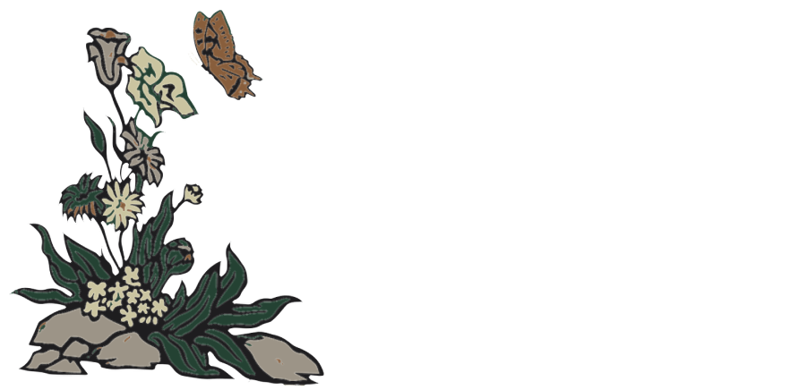 white logo copy