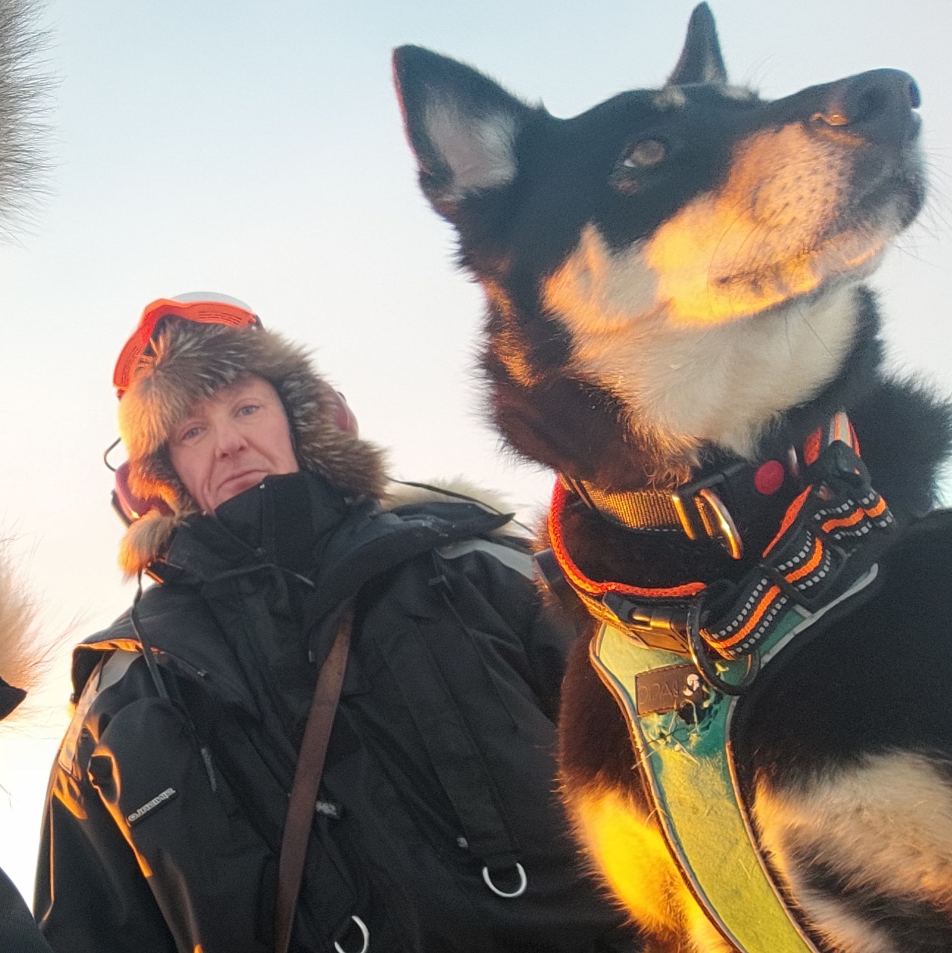 Reindeer herder Ari-Heikki Aikio and his dog Maksi in Utsjoki