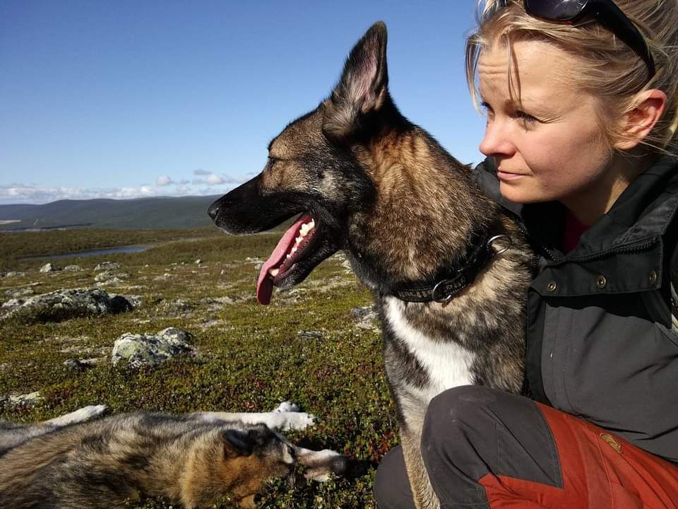 blog post by company owner petra suontausta