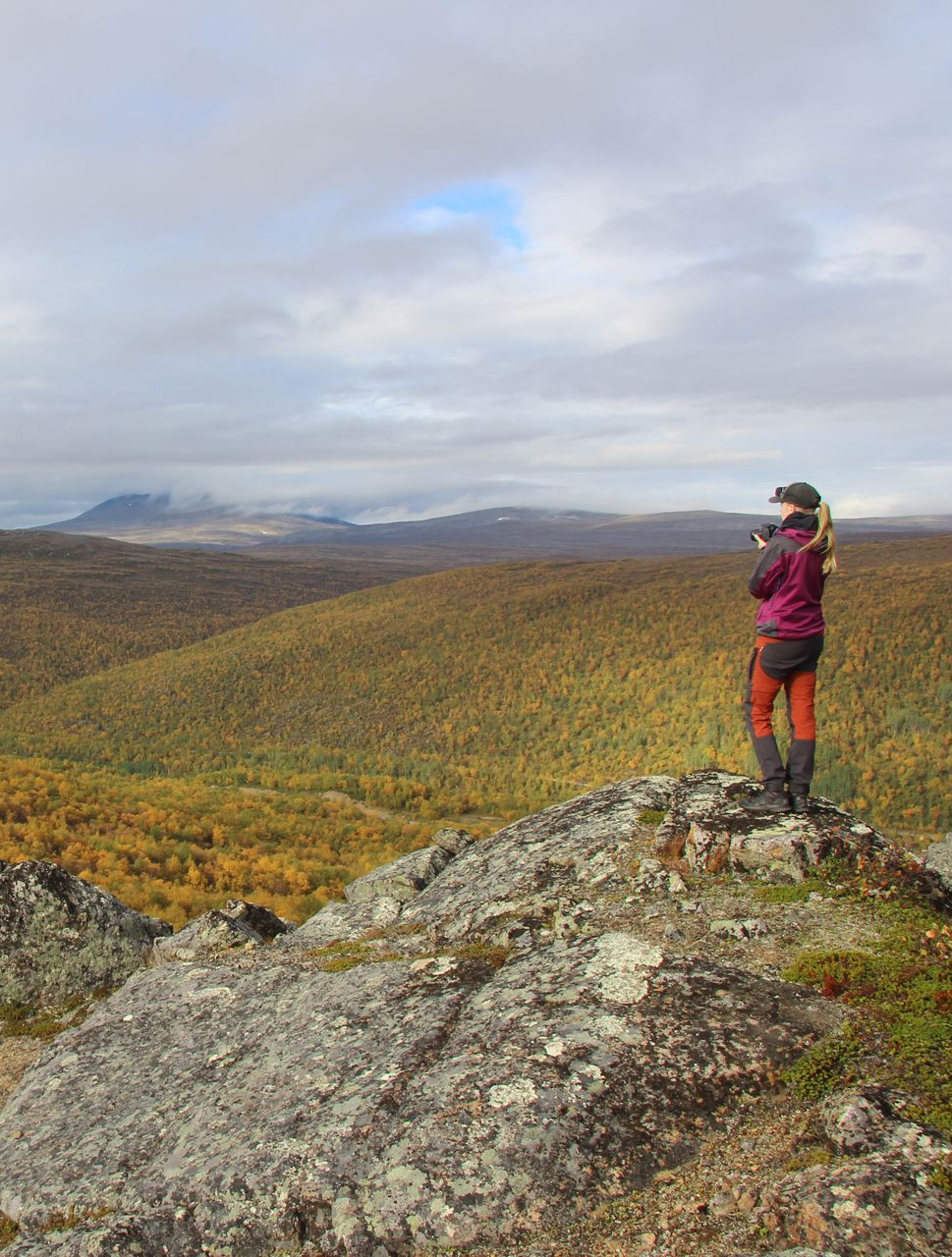 Utsjoki Lapland summer landscape in wilderness nature