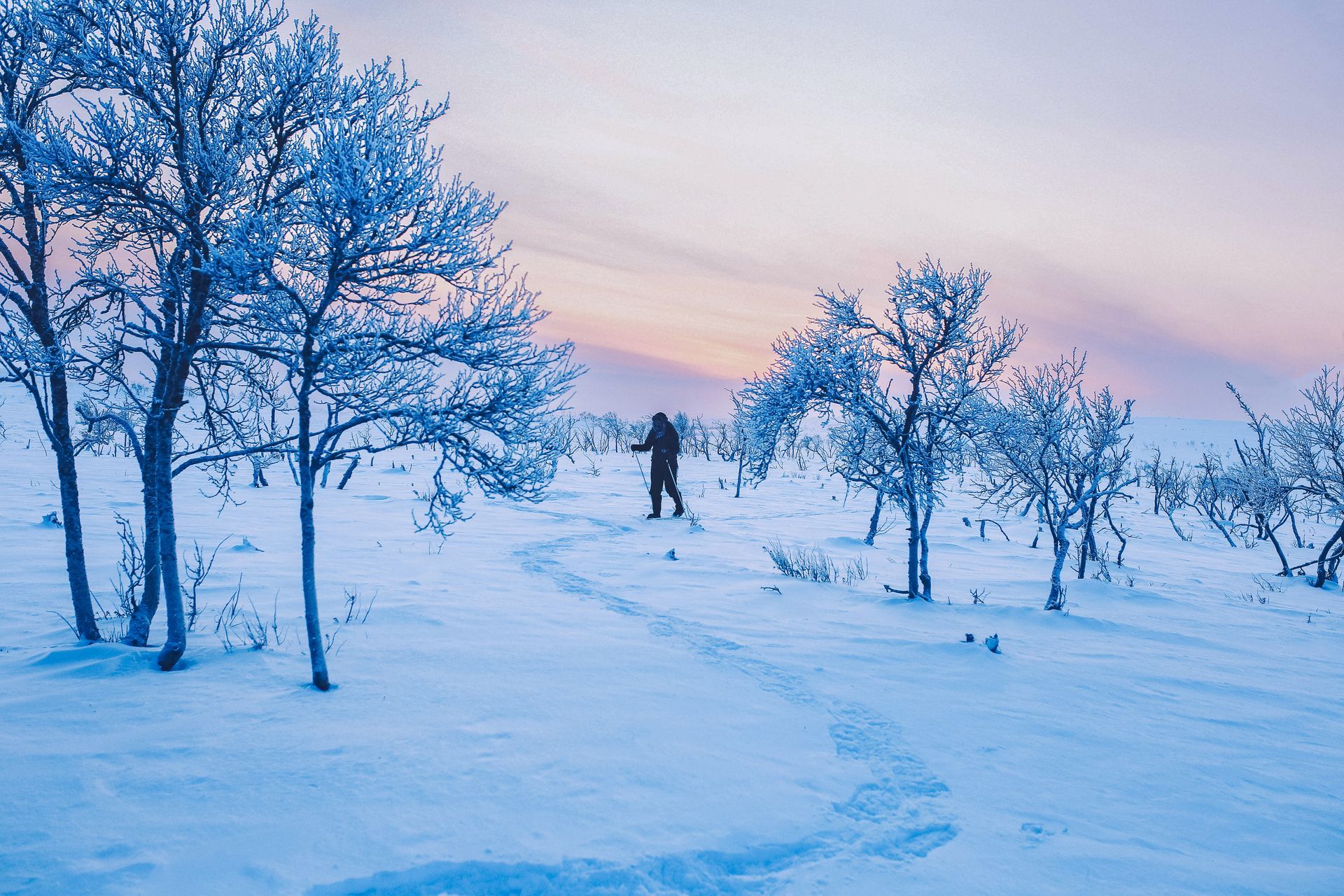 Utsjoki Lapland snowshoeing skiing in snowy wilderness nature