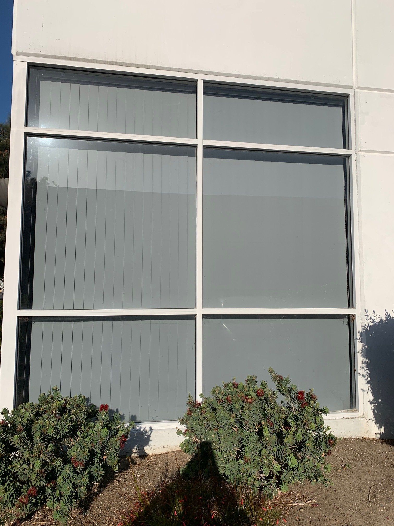 building window