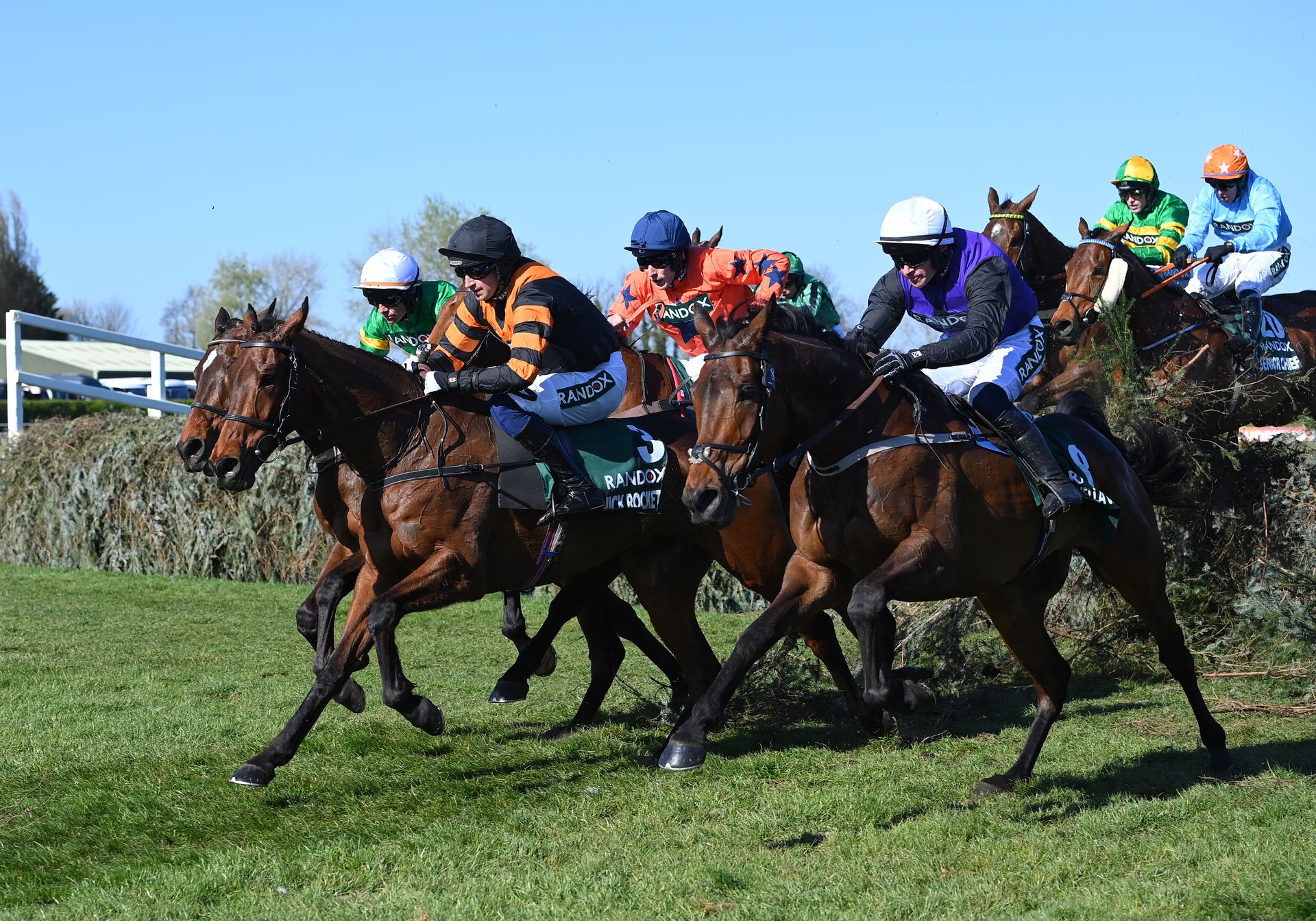 Tim Forster Racing AINTREE GRAND NATIONAL | HBA Media | Horse Racing & Sport Media Rights