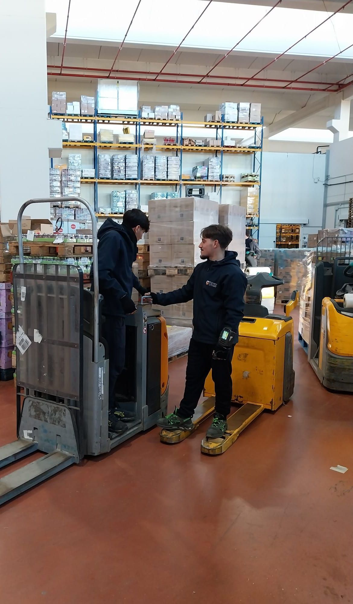 LOGISTICA