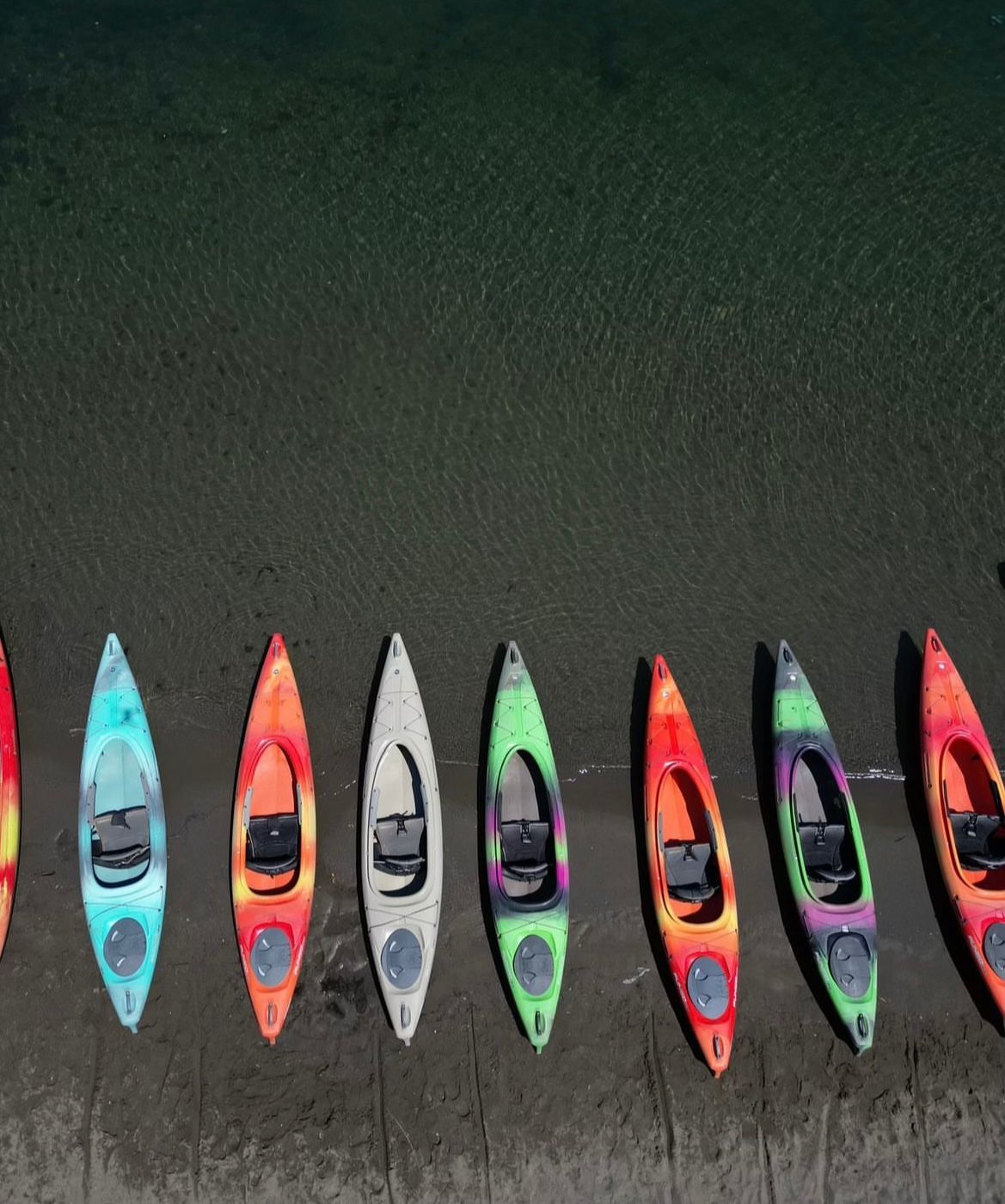 Colorful kayaks lined up along a shoreline beside calm water