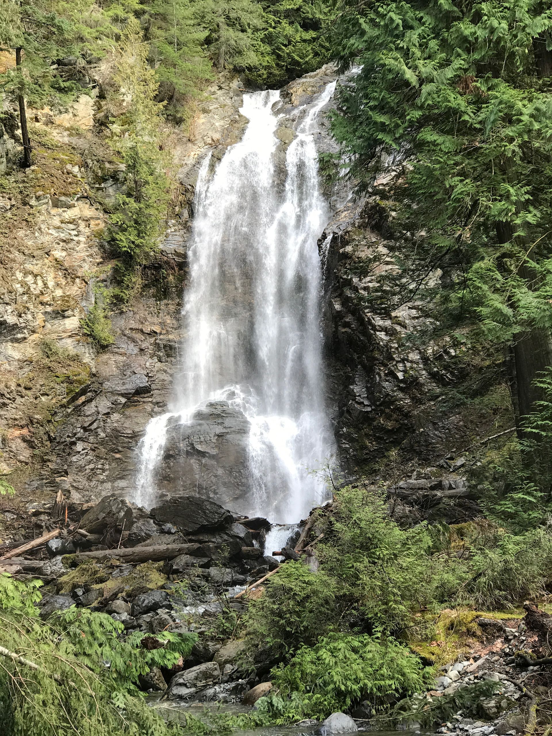Tall waterfall cascading over rocky cliff amid green forest vegetation.
