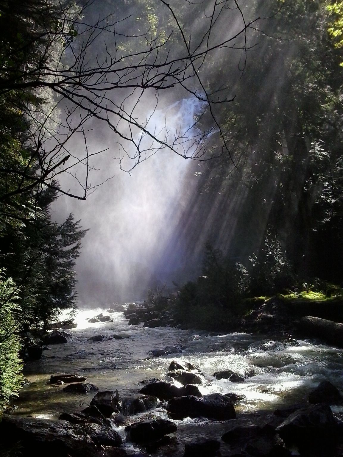 Sunlit forest stream with rocks and mist, beams of light filtering through trees